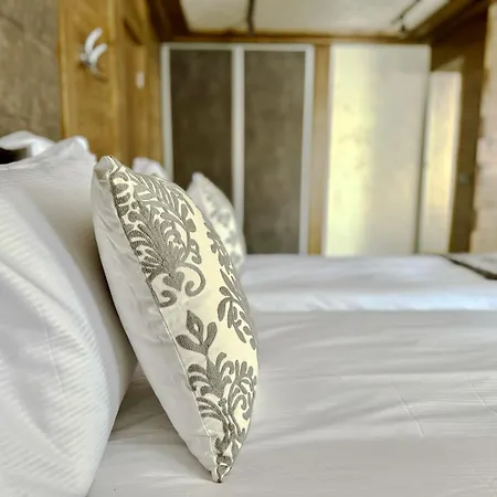 V Guest house