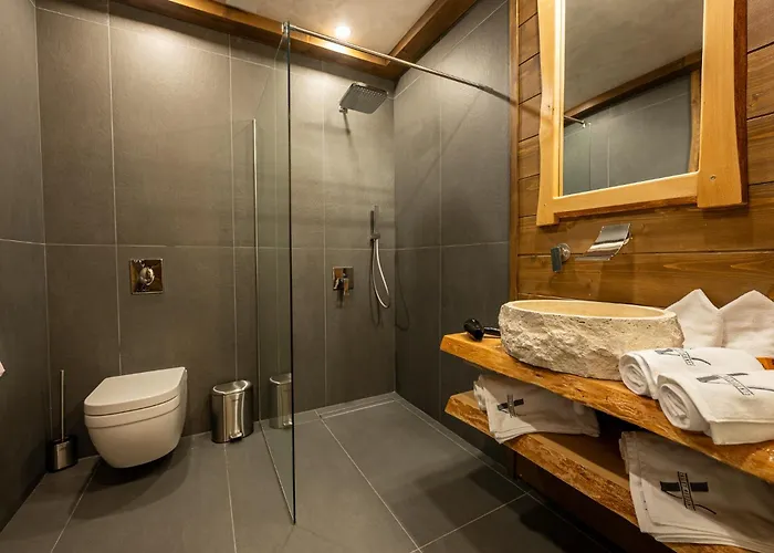 ゲストハウス V